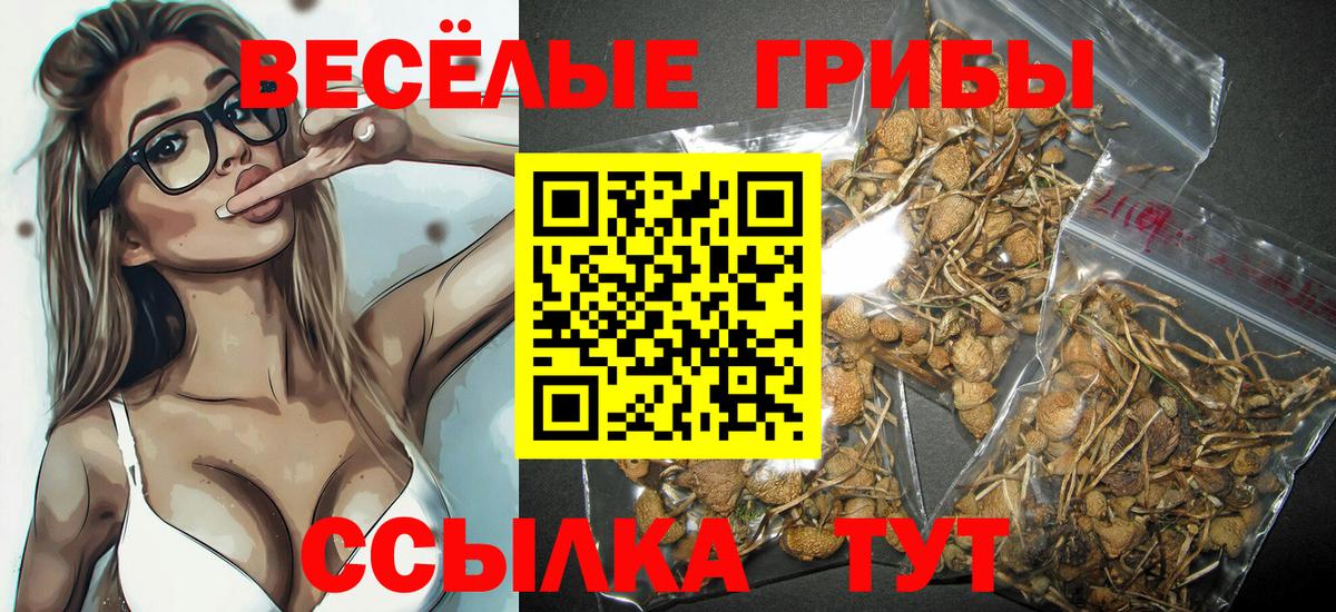 Кохма  Галлюциногенные грибы мицелий  Вход с VPN  Галлюциногенные грибы MAGIC MUSHROOMS 